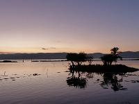 Lac Inle (103)